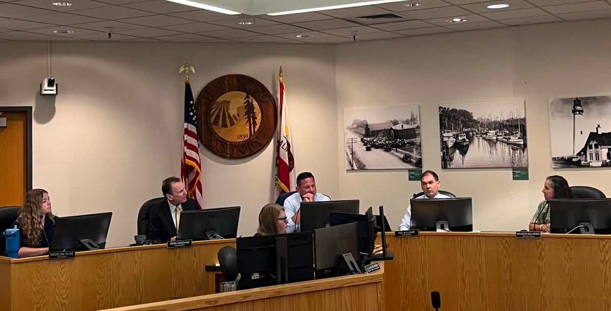 Sara Pierce Elevated to Interim CEO