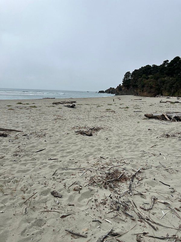 Big River Beach Shark Attack