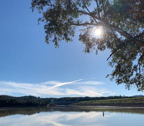 Mendo Local Weekly News Roundup — September 5, 2025