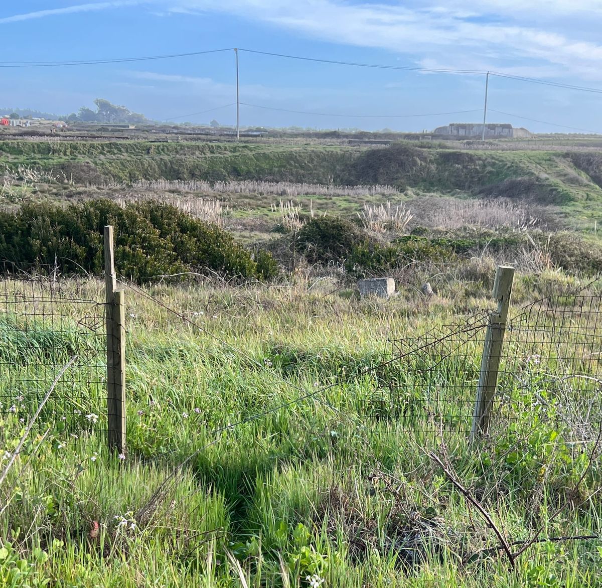 State Toxics Regulators Send Railway's Mill Site Cleanup Plan Back for Revisions