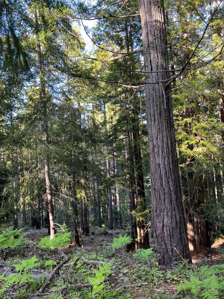 Mendo Local Weekly News — February 22, 2026