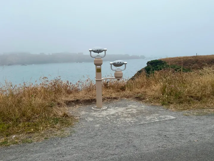 Mendo Local Weekly Roundup — June 13, 2026