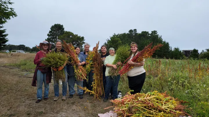 Seeds of Change: Mendocino Coast Farmers Cultivate Crops That Adapt to Their Environment