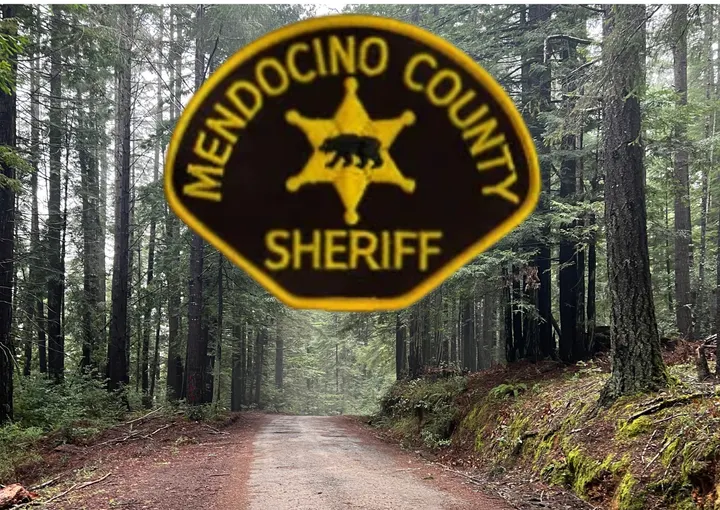 Deputy Suffers Broken Arm Answering a Call for Service in Ukiah
