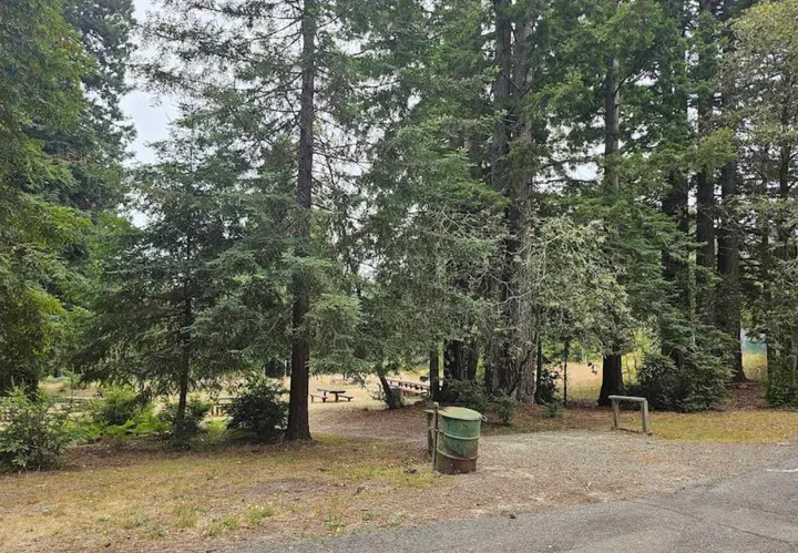 Mendo Local Weekly News Roundup — September 13, 2025
