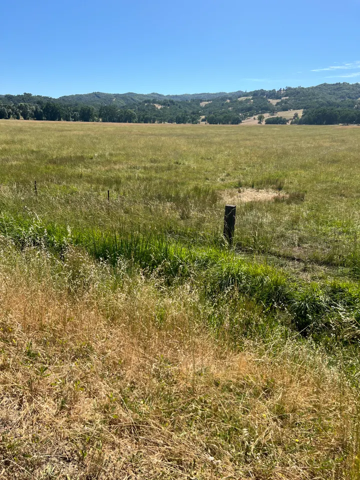 Elsinore Valley Municipal Water District Vice President Explains Interest in Potter Valley Project