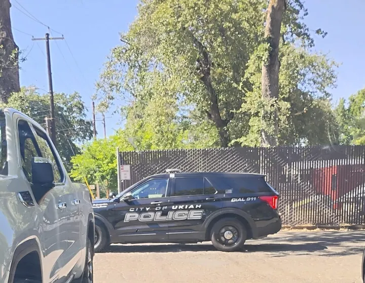 Mendo Local Weekly Roundup — August 30, 2026