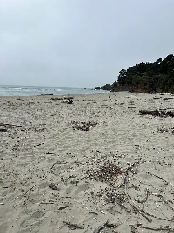 Big River Beach Shark Attack