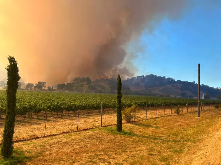 Mendo Local Weekly Roundup — Aug. 2, 2026