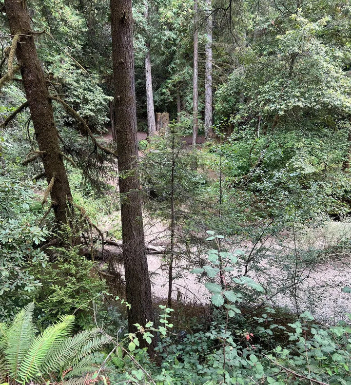 Jackson State Forest: We’re Looking at the Wrong Economy