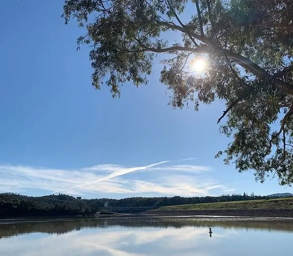 Mendo Local Weekly News Roundup — September 5, 2025