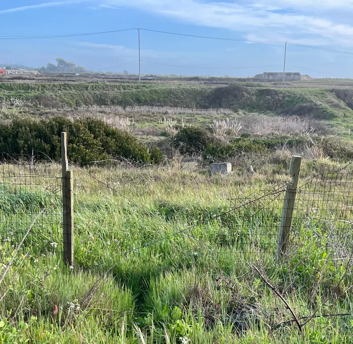State Toxics Regulators Send Railway's Mill Site Cleanup Plan Back for Revisions