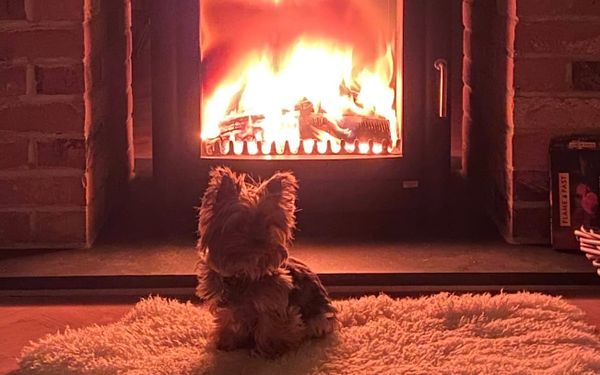 Where Did the Time Go?