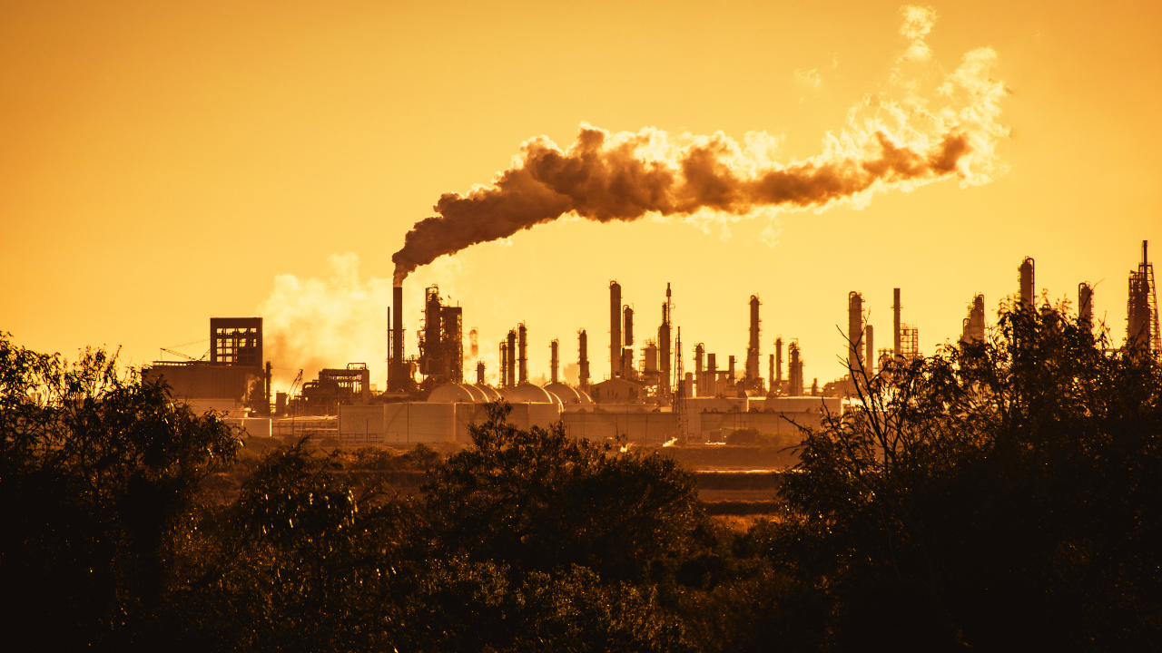 Roundup: Human Rights violation