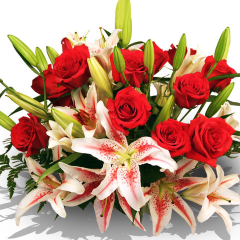 28548_385782628252_23824338252_3976274_5453383_n 28548_385782628252_23824338252_3976274_5453383_n