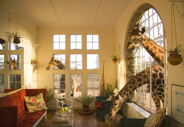The Giraffe Manor