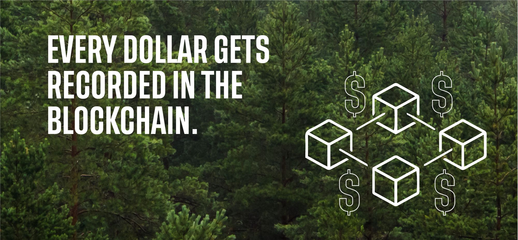 Every dollar gets recorded in the blockchain. 