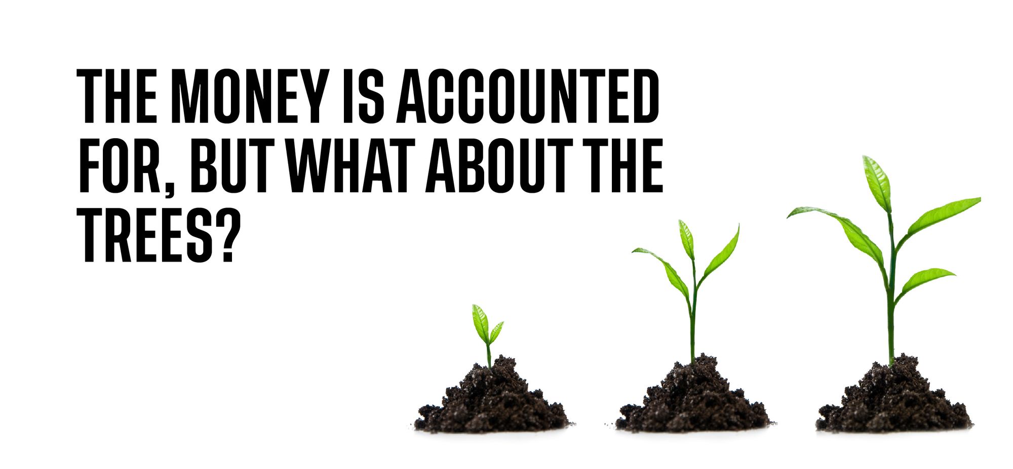 The money is accounted for, but what about the trees?