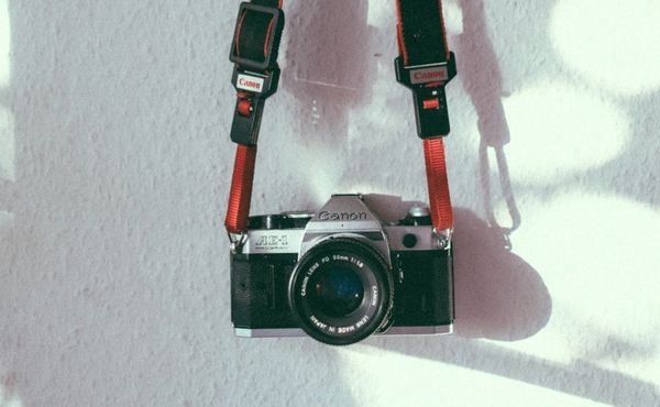 (Untitled)
