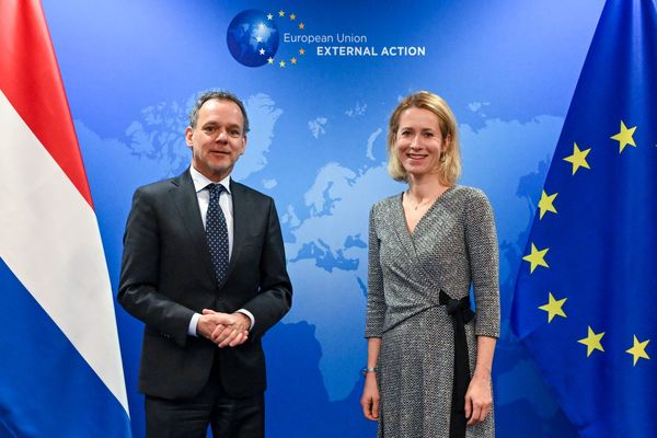 Former Dutch foreign minister Veldkamp will be new EU ambassador to China