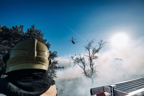 Major wildfire caused by explosives during military exercise: "This should not have happened"