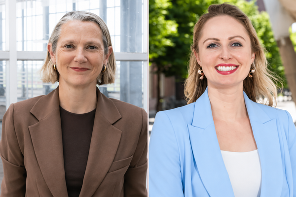 Quiet reshuffle in VVD, new MP for foreign affairs