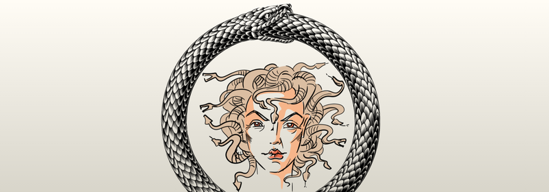 Medusa Snake Frame (2).png