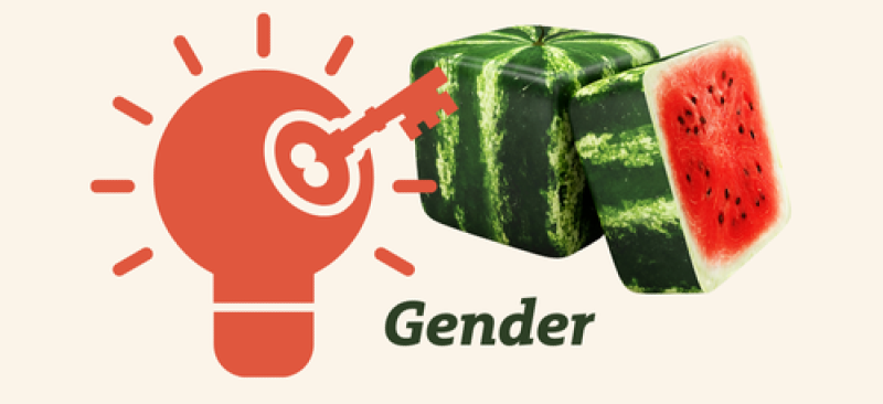 Lightbulb with key for 'key concept' and image of a square watermelon above the word 'gender'
