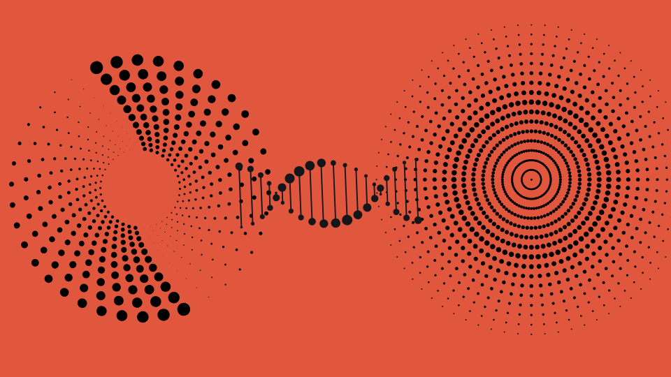 Interwoven Selves: Review of From a Broken Web | by Therese Doherty