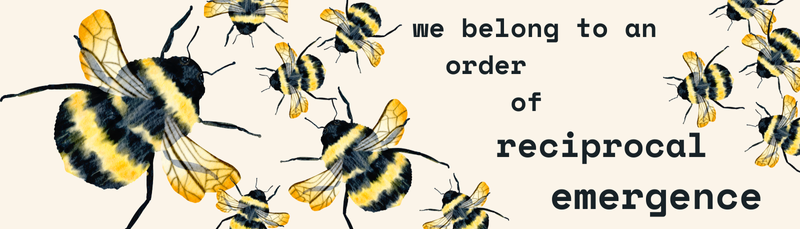 Multiple watercolor bumblebees with black and yellow striped bodies and translucent wings, text reads "we belong to an order of reciprocal emergence" 