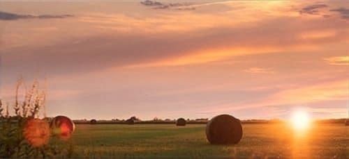 Hayfield with rolled bales in Oklahoma at sunset.