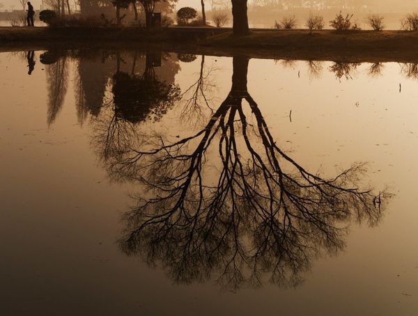 Flow, Unfolding, Feminism is a project about the future |by Esmée Streachailt