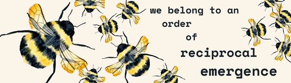 Multiple watercolor bumblebees with black and yellow striped bodies and translucent wings, text reads "we belong to an order of reciprocal emergence" 