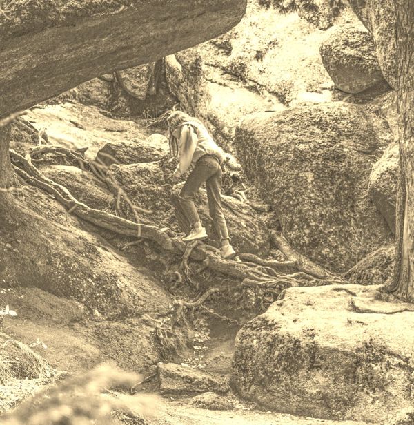 Sepia toned image of a girl hiking over large tree roots among boulders. She wears a sweatshirt, jeans, and heavy shoes.