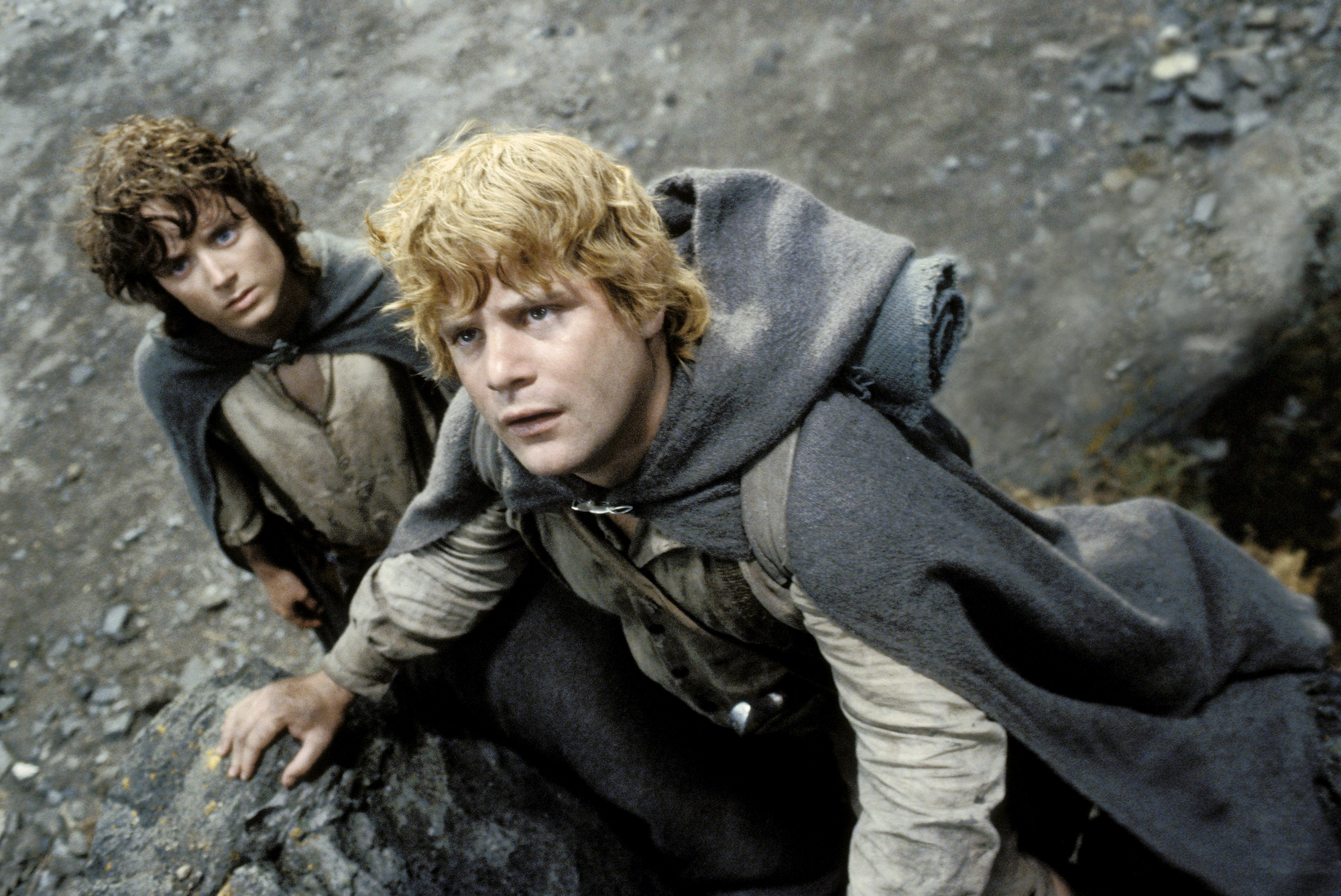2 characters from the film Lord of The Rings, Samwise Gamgee and Frodo. Sam is looking up and holding out his arm to protect Frodo