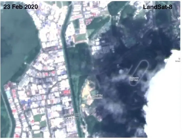 #ThatAwkwardMoment when you "erroneously" chop down a forest