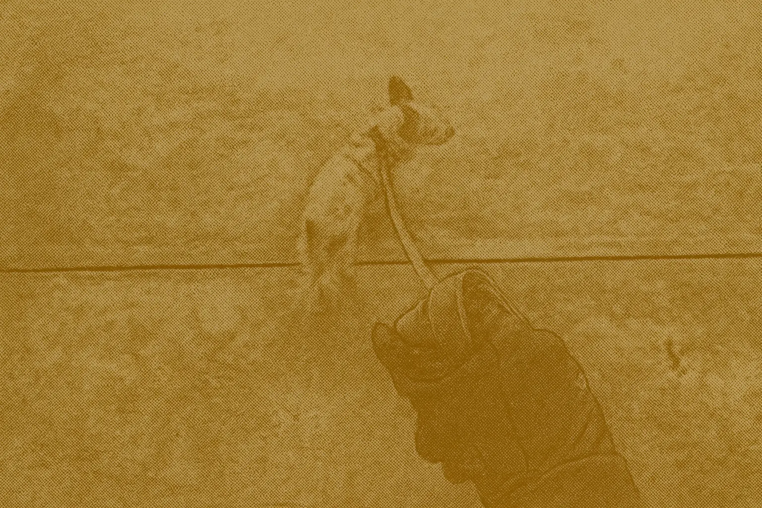 Person walking dog on leash in Canadian winter wearing insulated waterproof gloves for secure grip and warmth during cold weather dog walks