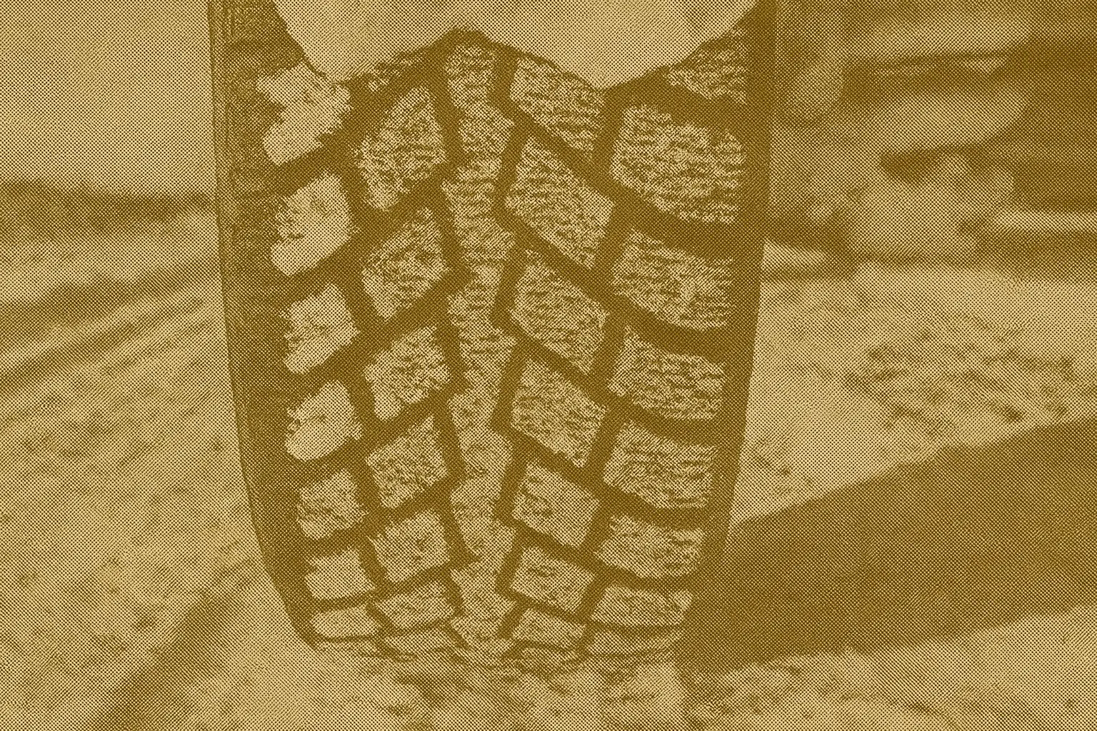 Close-up of a winter tire with deep tread blocks packed with snow