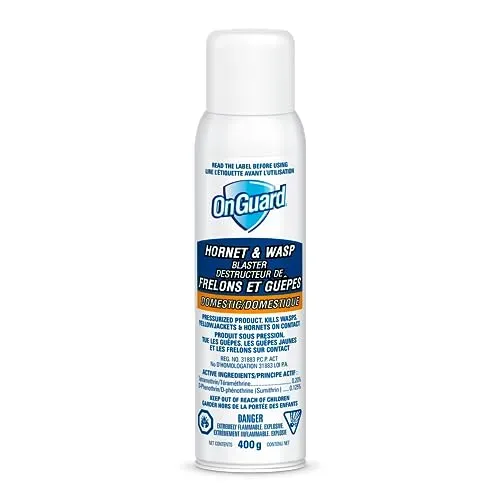 OnGuard Hornet & Wasp Blaster Aerosol Spray Can 400g for killing wasps and hornets.