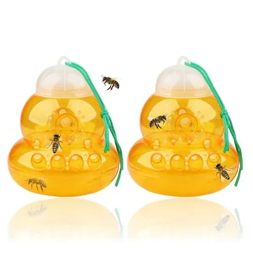 2 Pack reusable wasp and hornet traps for outdoor insect control, eco-friendly design