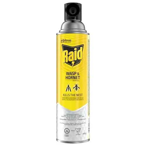 Raid Wasp and Hornet Killer spray can, 400g, designed to kill wasps on contact.
