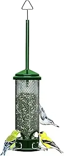 Squirrel Buster Mini Squirrel-Proof Bird Feeder by Brome, with green chew-proof design and 1 lb seed capacity.