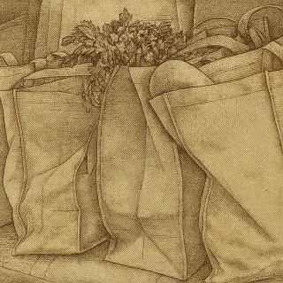 Best Reusable Grocery Bags in Canada: 7 Picks From $10