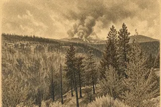 Federal Government Matches Donations for BC Wildfire Recovery Efforts
