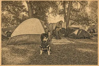 Saskatoon Judge Allows Eviction of Pleasant Hill Encampment Housing 100+