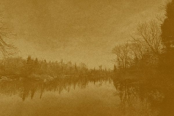 Two Children Dead, Two Injured in Boating Accident Near West Caledonia, N.S.