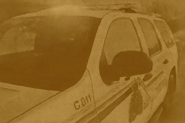 Thunderchild First Nation Woman Charged in Turtleford Farm Shooting to Appear Nov. 13