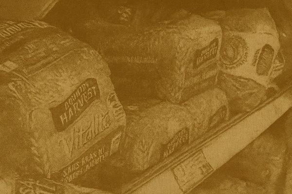 Deadline Approaches for Loblaw Bread Price-Fixing Settlement Claims: Submit by Dec. 12, 2025