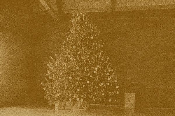 What to Do With Your Real Christmas Tree After Christmas: Canadian Recycling, Disposal & Reuse Guide 2026