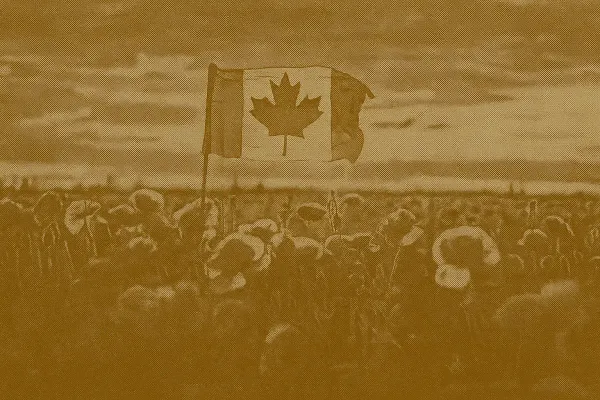 Remembrance Day: Honouring the Canadians Who Served